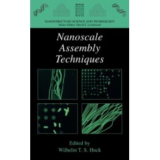 Nanoscale Assembly : Chemical Techniques