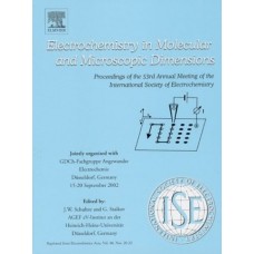 Electrochemistry In Molecular And Microscopic Dimensions
