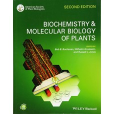 Biochemistry and Molecular Biology of Plants (Paperback)