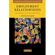 Employment Relationships: New Models of White-Collar Work (Cambridge Companions to Management)