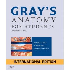Gray's Anatomy For Students 3Ed - Pb (Ie)