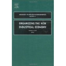 Organizing The New Industrial Economy Volume 12 (Advances In Applied Microeconomics)  (Hardcover)