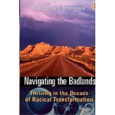 Navigating The Badlands: Thriving In The Decade Of Radical Transformation