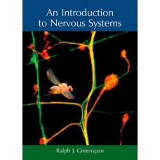 An Introduction To Nervous Systems (Hb)