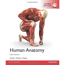 Human Anatomy, 8/Ed (Pb)