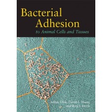 Bacterial Adhesion To Animal Cells And Tissues