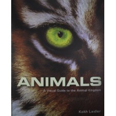 Animals: A Visual Guide To The Animal Kingdom (Hardcover