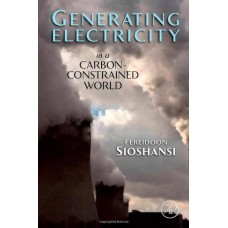 Generating  Electricity In A Carbon Constrained World - 2009 (Hardcover)