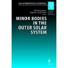 Minor Bodies In The Outer Solar System