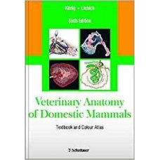 Veterinary Anatomy Of Domestic Mammals : Textbook And Colour Atlas 6Ed (Hb)