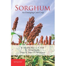 Sorghum : An Emerging Cash Crop(Pb)