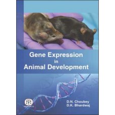 Gene Expression in Animal Development [Paperback]