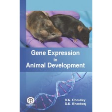 Gene Expression In Animal Development  (Hardback)
