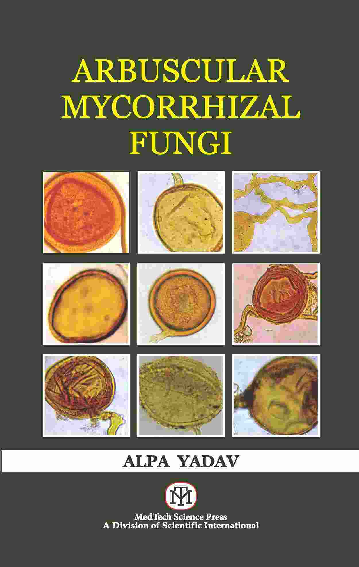 ARBUSCULAR MYCORRHIZAL FUNGI